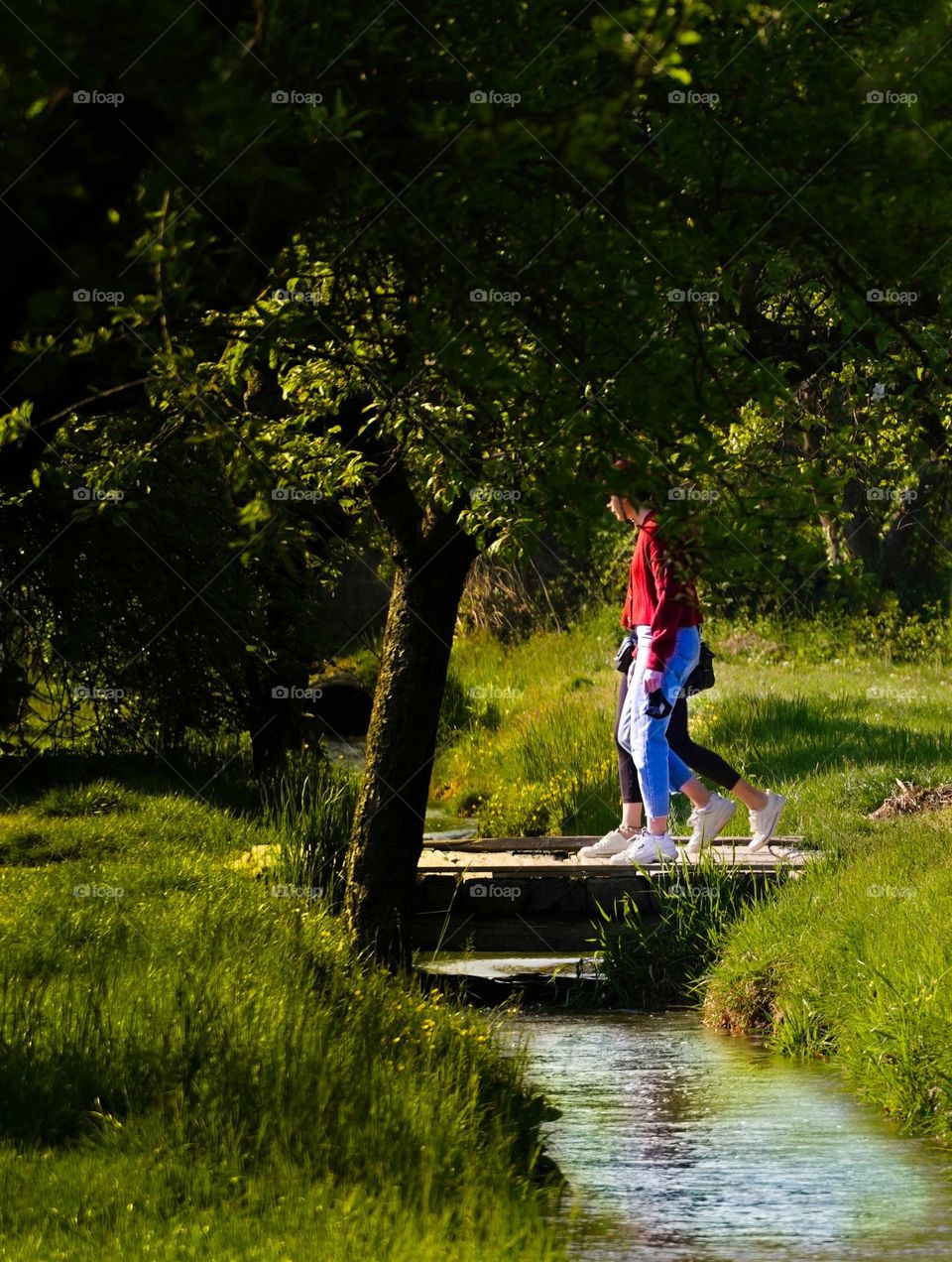 People in the park