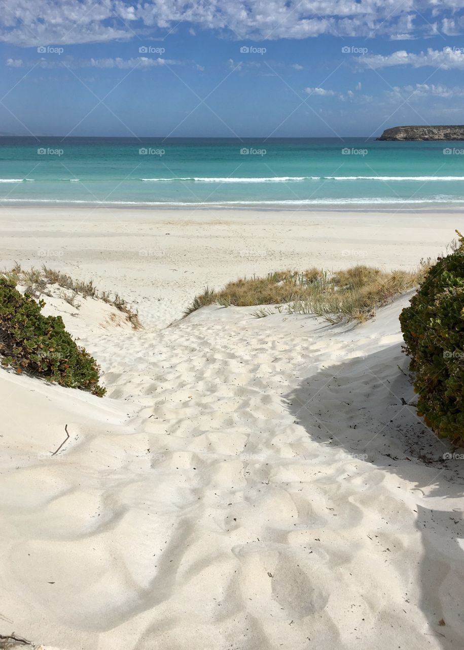 Path to a beach, a remote beach accessible only by four wheel drive in south Australia's Coffin Bay national
Park area, gorgeous and awesome pristine beaches filled with wildlife, turquoise sea, coral reefs, and an abundance of beauty