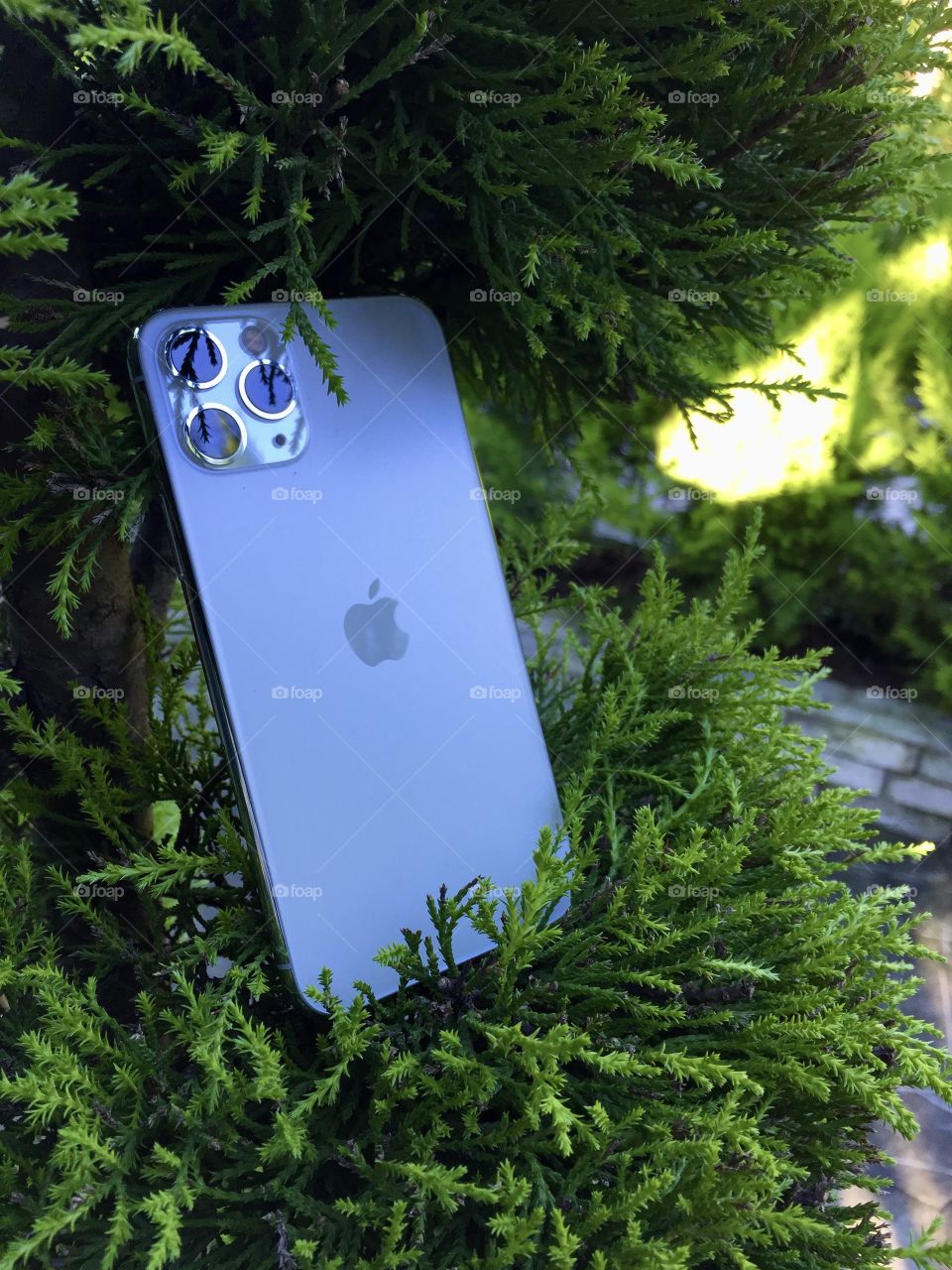 Selfphone among the greenery. iPhone 11pro