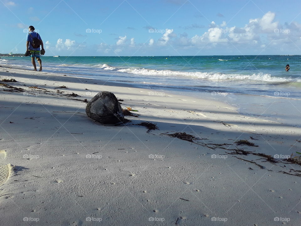 ocean coconut and tourist