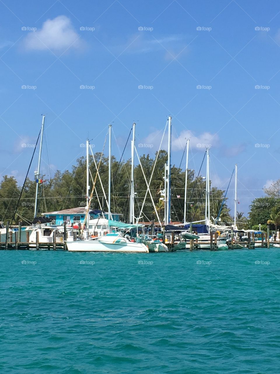 Bimini sailboats gather at the end of their workday