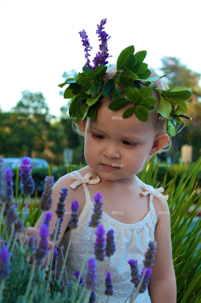 Crown of lavenders