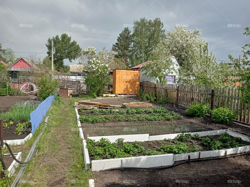 Дача и новый сарайчик