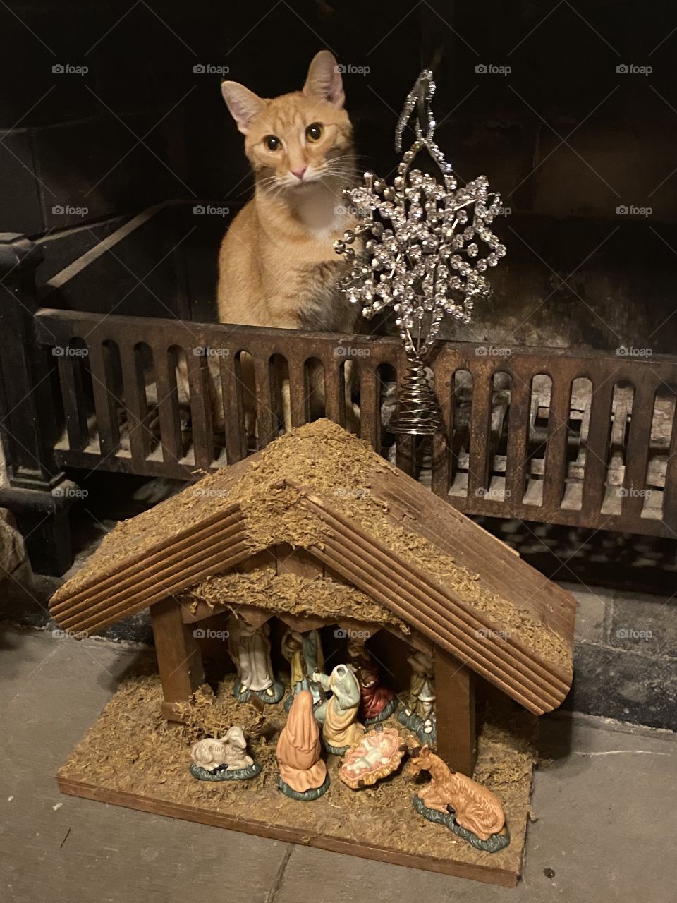 Adorable mode engaged 