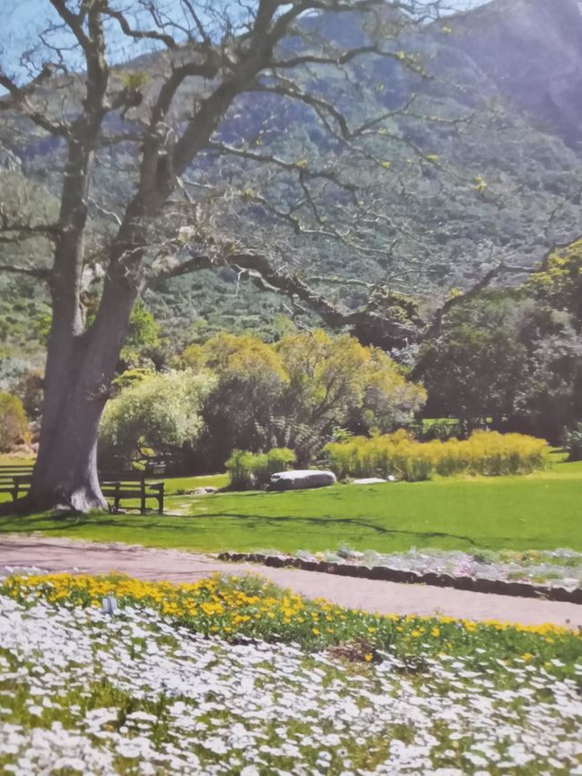 Nature