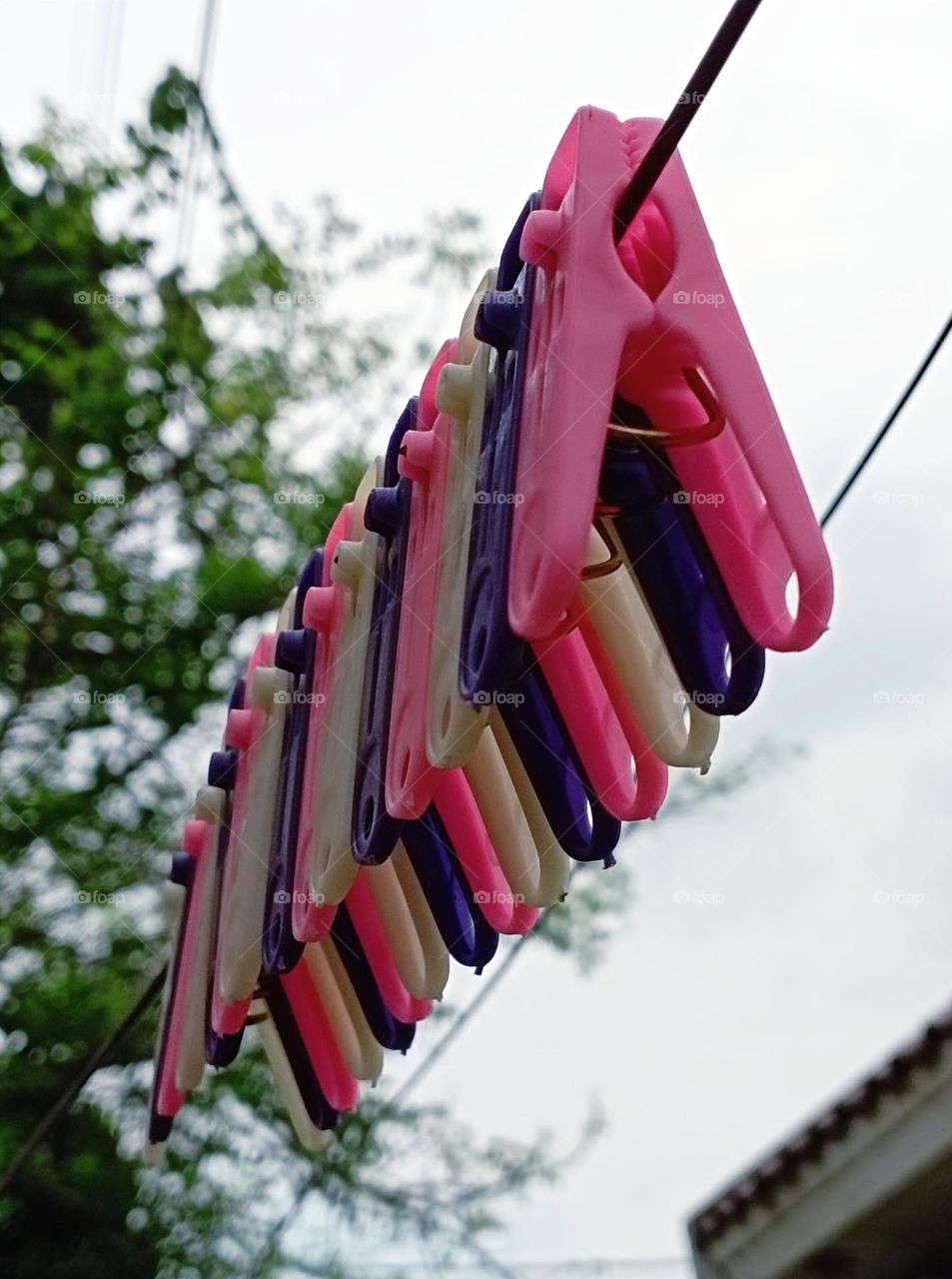 Clothespin in drying rope...