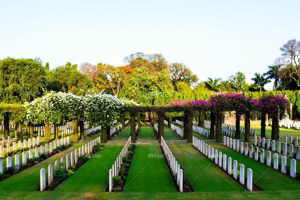 World War II cemetery