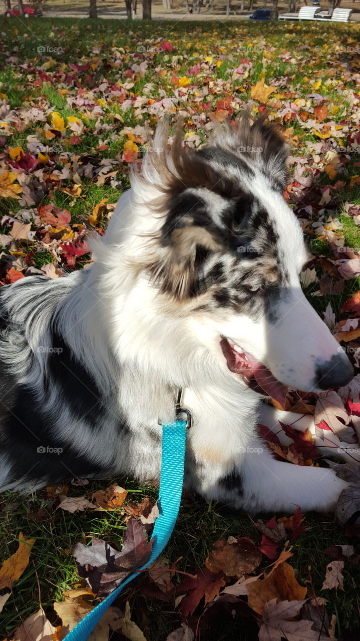 Enjoying a walk in the park