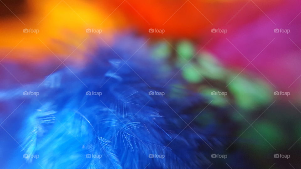 Multi color feathers