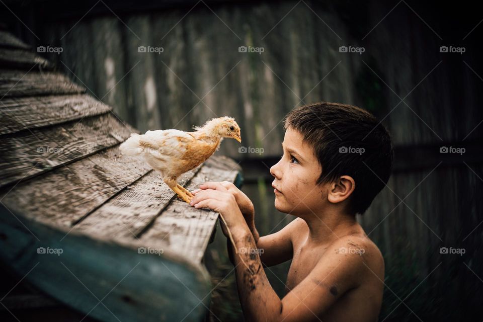 Boy makes eye contact with a young chicken outside. 