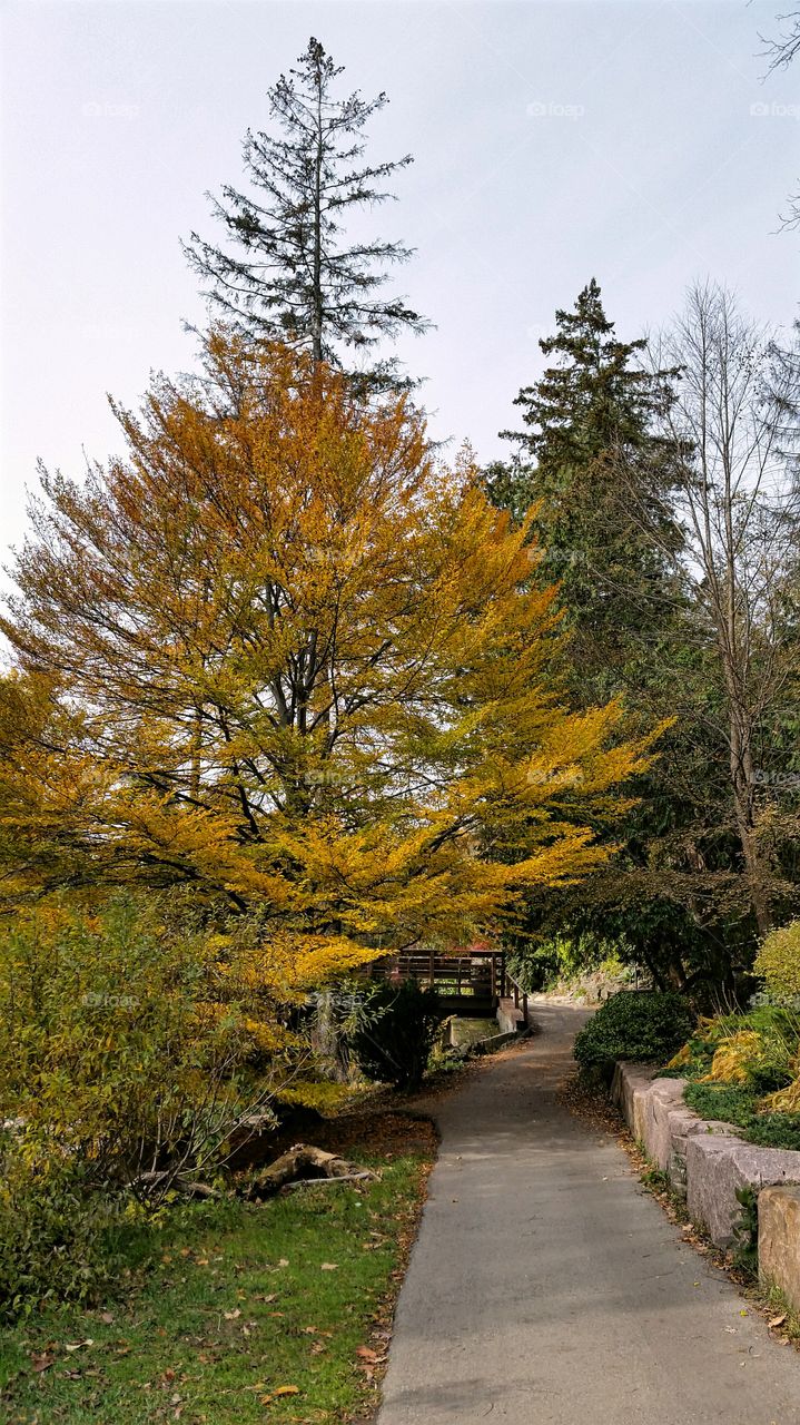 A Walk in the Beauty of Autumn!