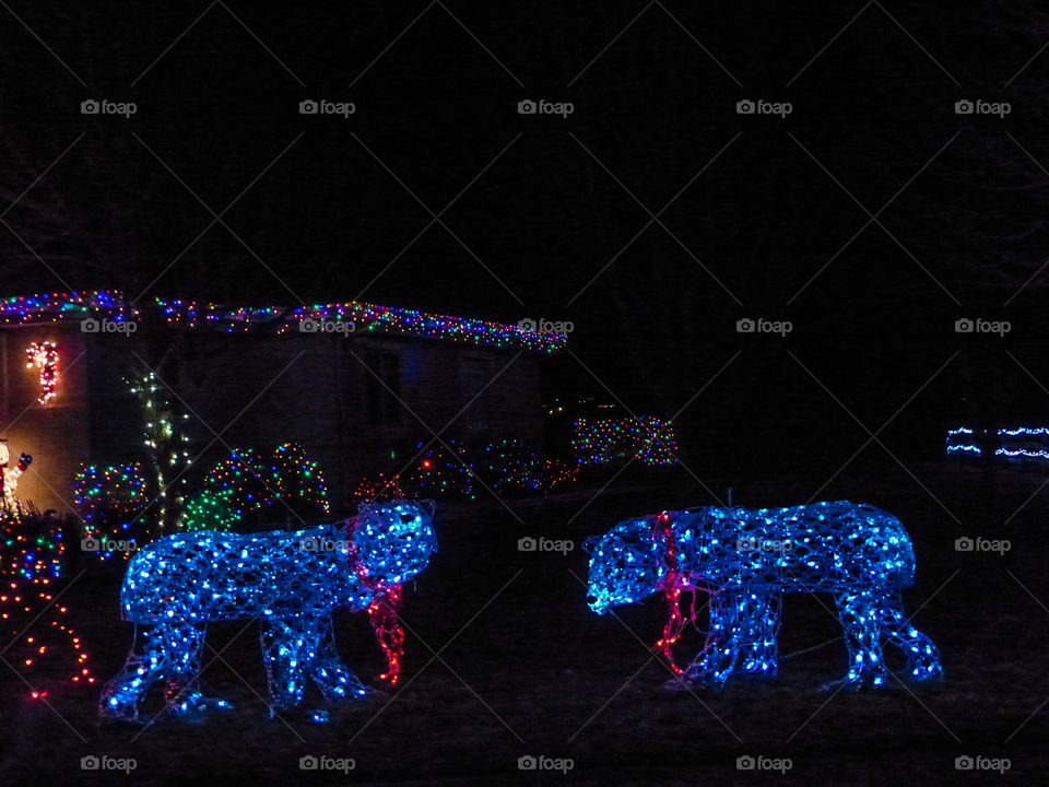 Polar bear lights