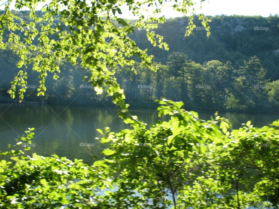 Peeking through the trees is see more of what i love about summer.   Adventures in the woods with my friends.