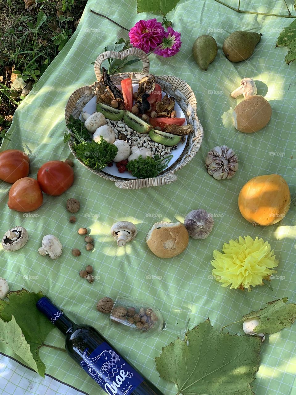 vegan picnic