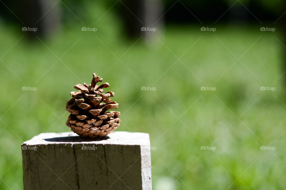 Cone in the park. Cone is standing on the white piedestal