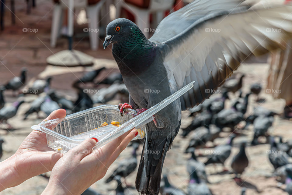 Feeding time