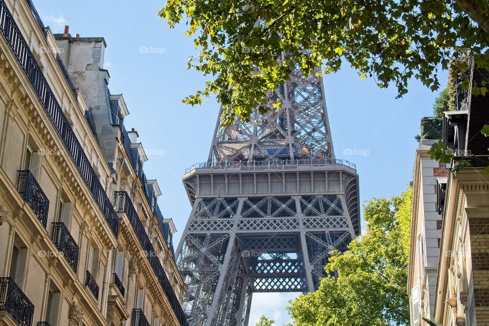 the facade of the house