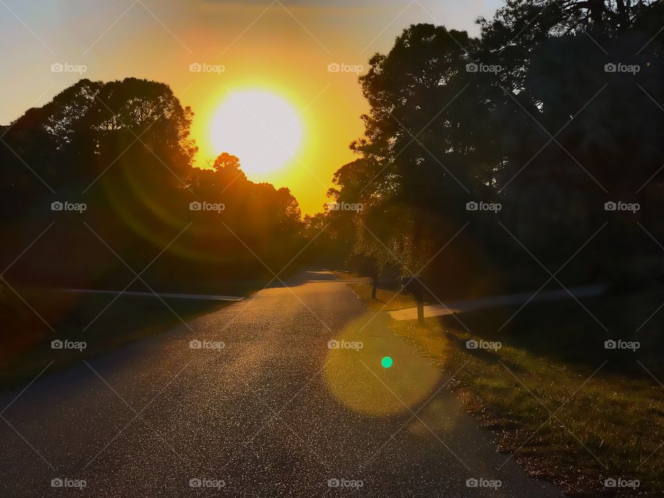 Golden sunset glowing at the end of the road over the forest on a clear evening .