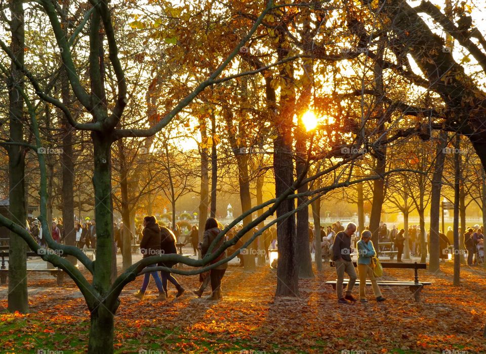 Strolling through the Luxembourg Gardens, Paris