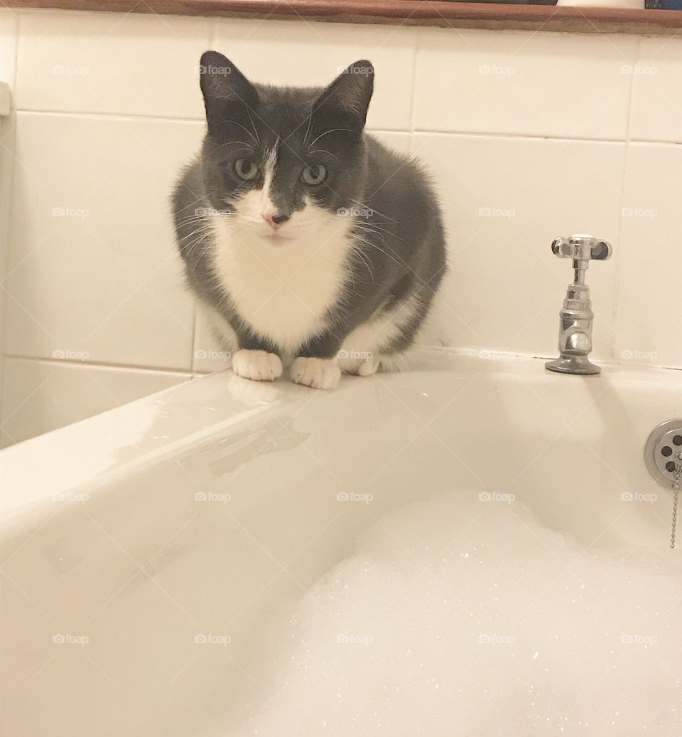 When you can’t have a bubble bath in peace!