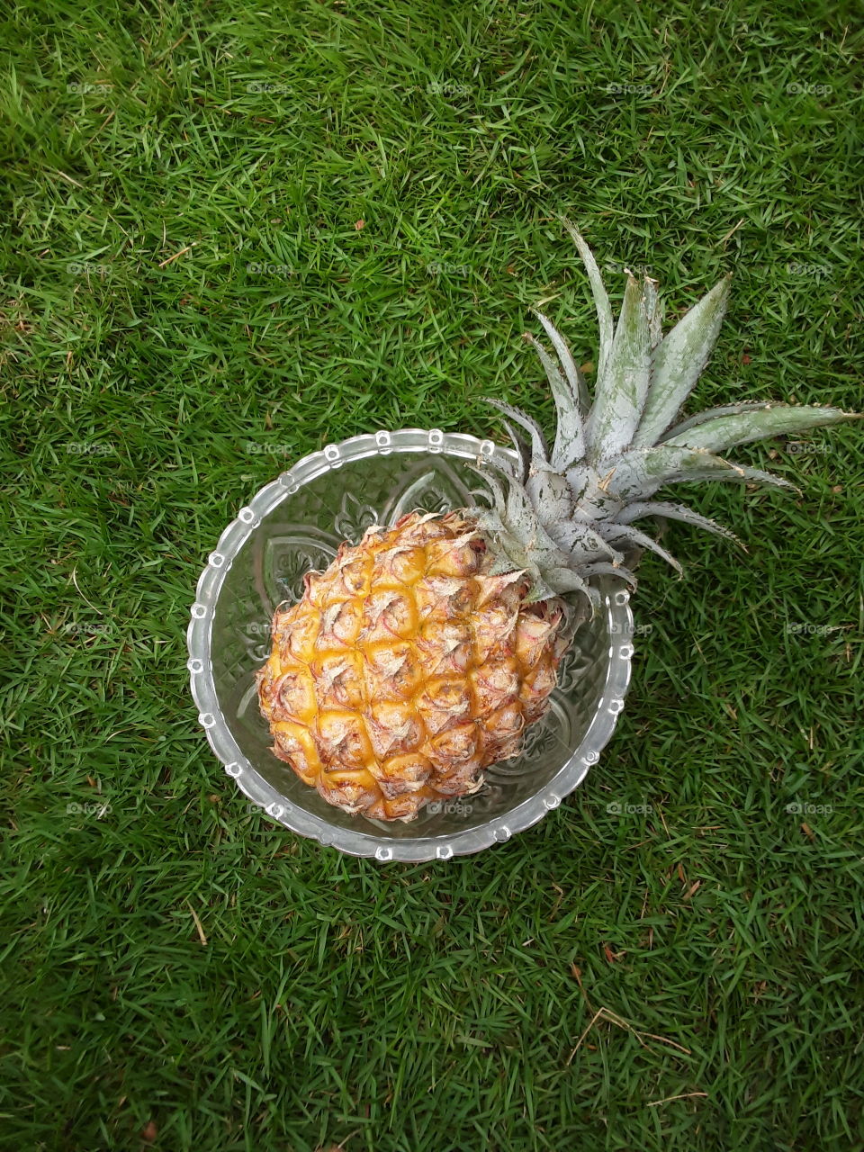 pineapple fruit. pineapple fruit get us, help manage blood pressure. Boosts your immunity