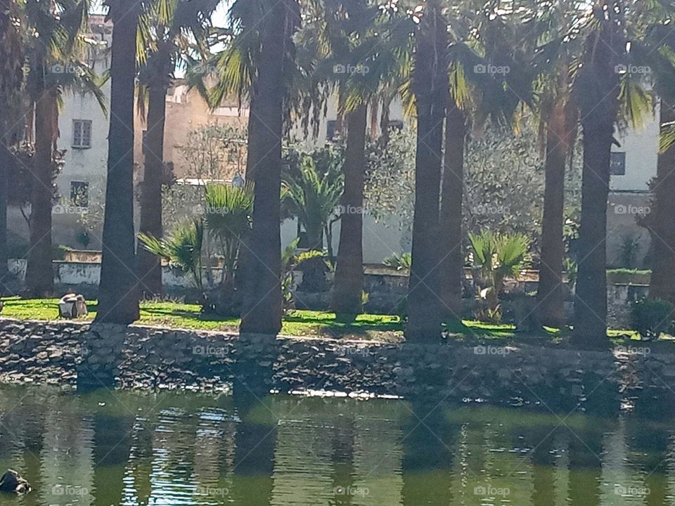 Population between the nature