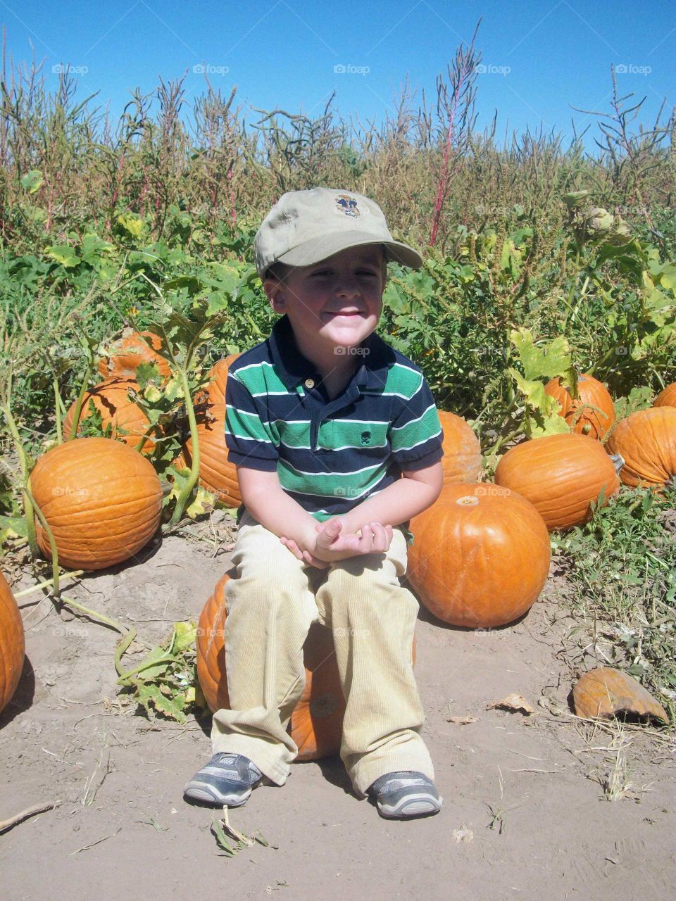 Pumpkin sitting