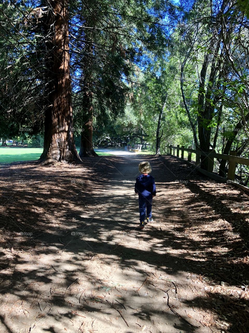 Little boy walking the long road