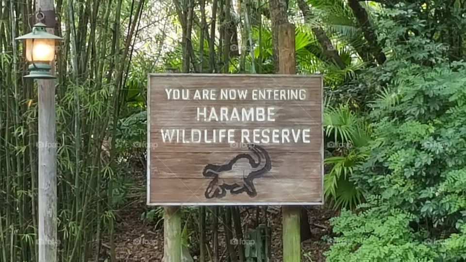 The entrance to the Harambe Wildlife Reserve at Animal Kingdom at the Walt Disney World Resort in Orlando, Florida.