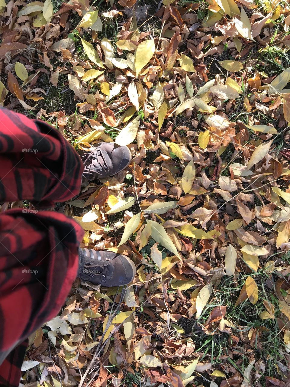 Shoes in the autumn leafs 