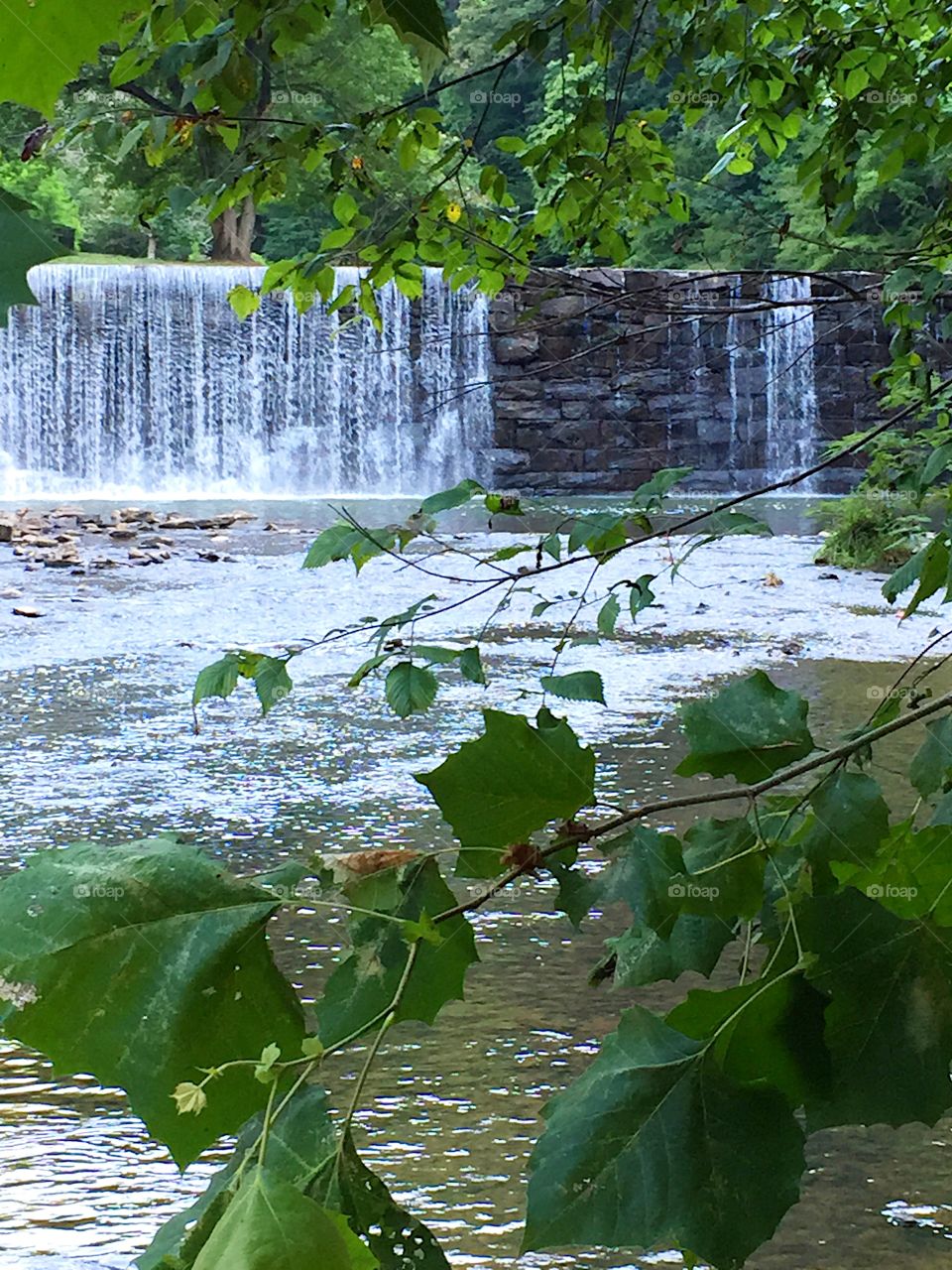 Hollins Mill Falls