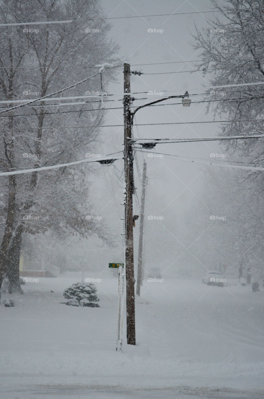 power pole and lines in a snowstorm