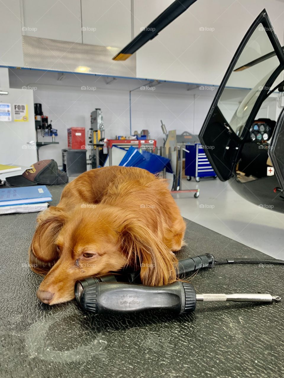 Sleeping on the job!