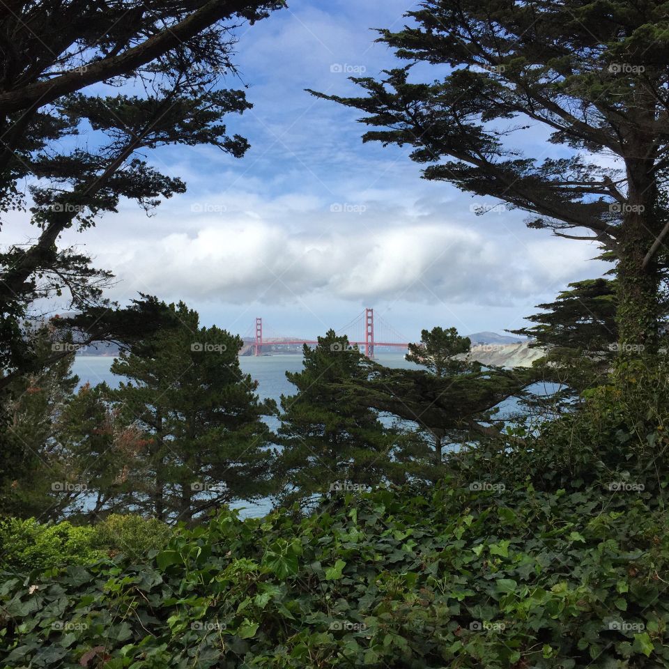 His was taken on my San Francisco hike to see the golden gate. So beautiful!