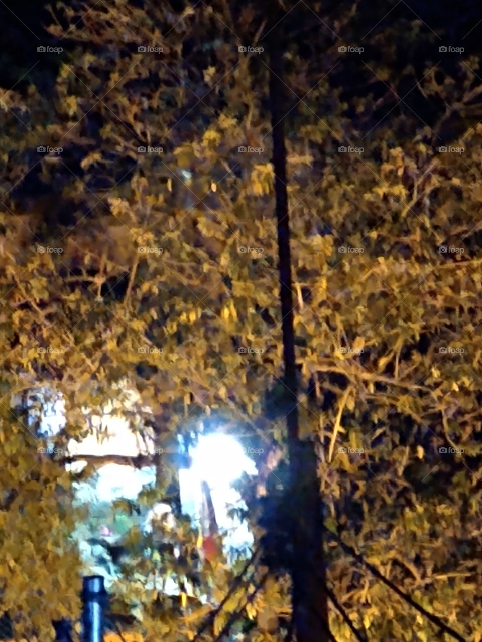 equilíbrio das luzes