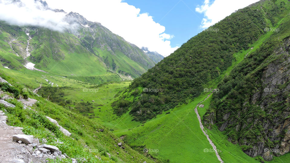 Valley of Flowers