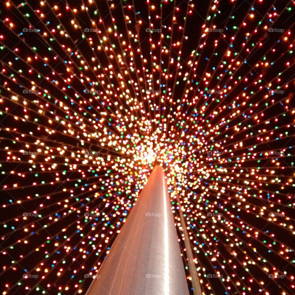 Christmas lights tree