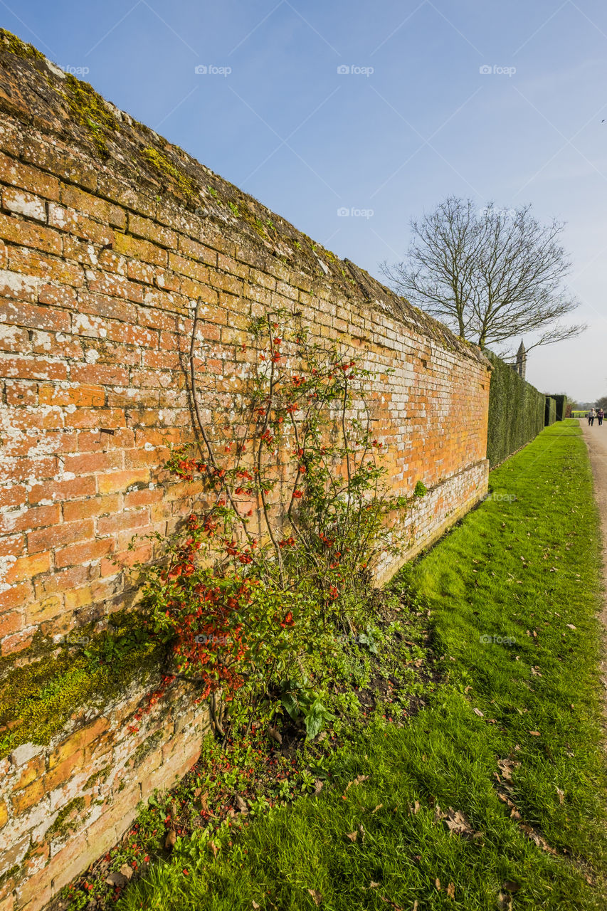 Walled garden