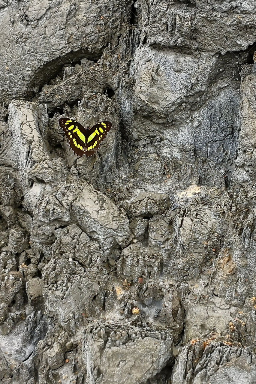 naturaleza en ecuador