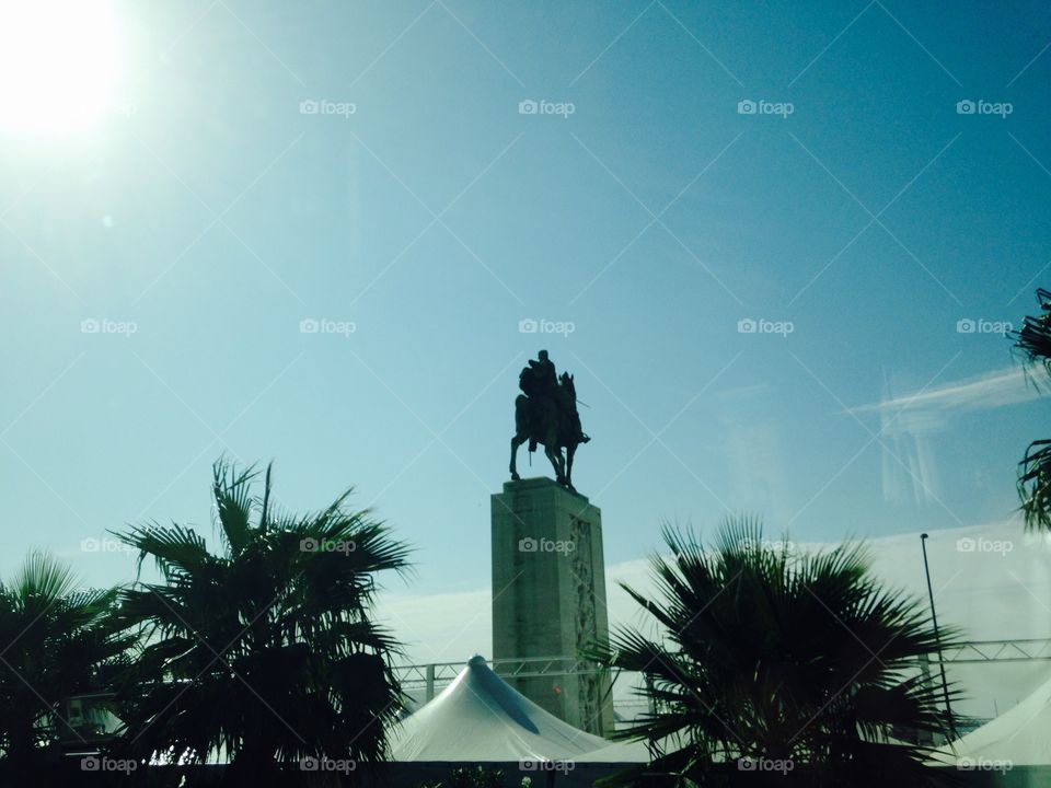 Monument and palms 