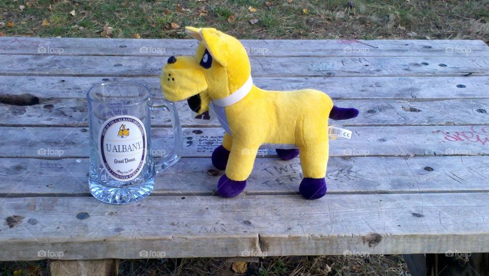 Mascot and Glass from UAlbany. Great Dane mascot and glass from the University of Albany