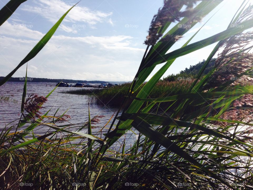 By the lake. By the lake