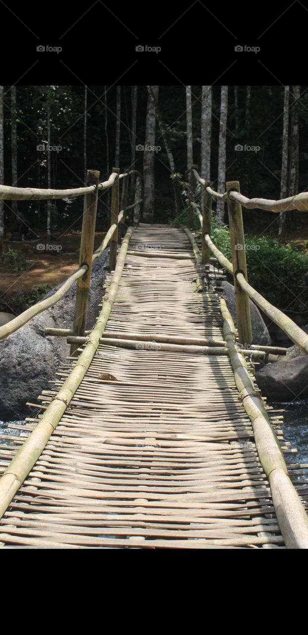 bamboo bridge to the forest