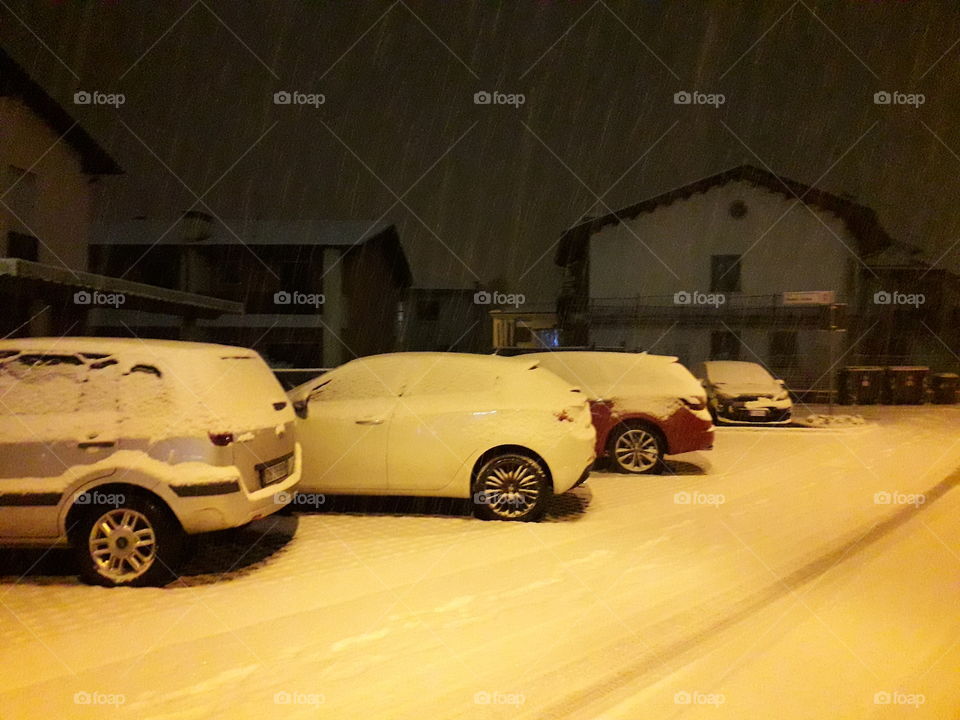 ..card under the snow..