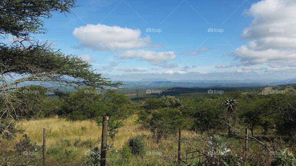 Zululand view