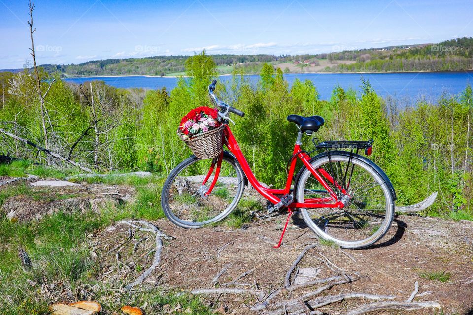 A red bycyckle and green nature color around like a frame ,its spring for sure β€οΈπ§‘ππππyou can see the lake too