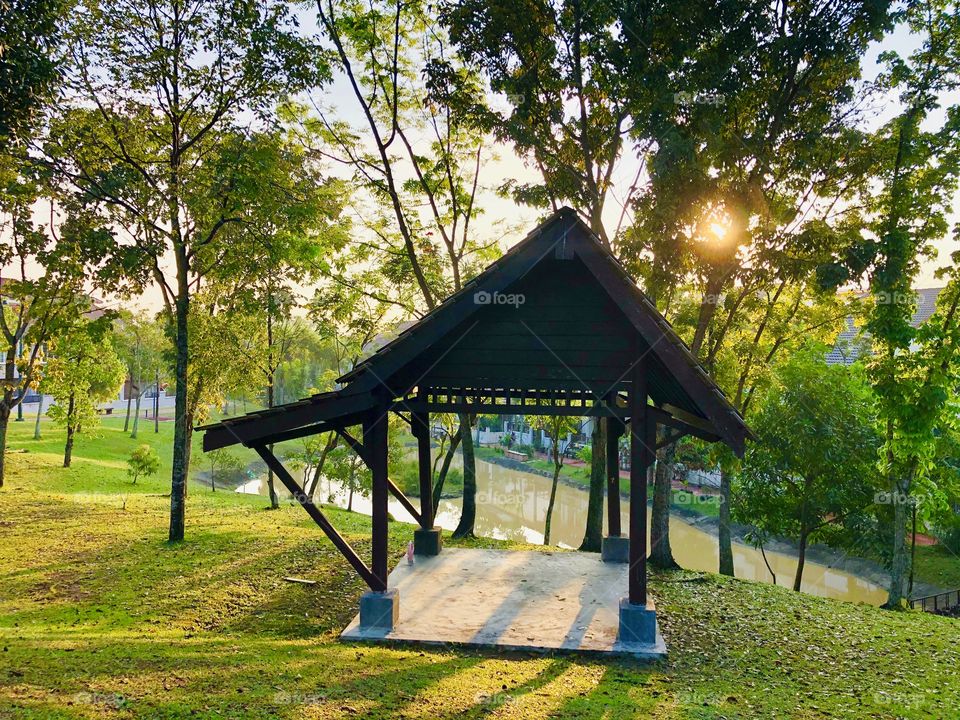 Gazebo in the garden 