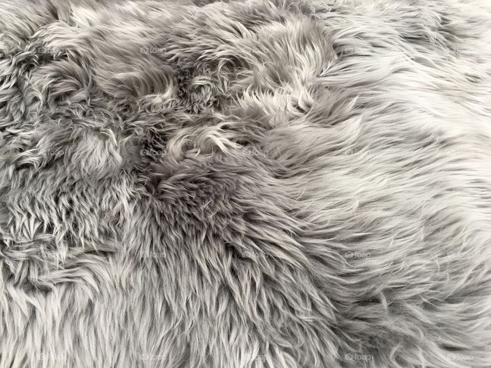 Fur