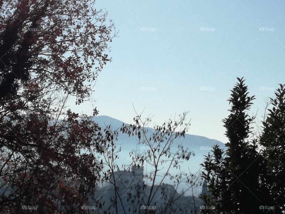 A castle hidden in the fog