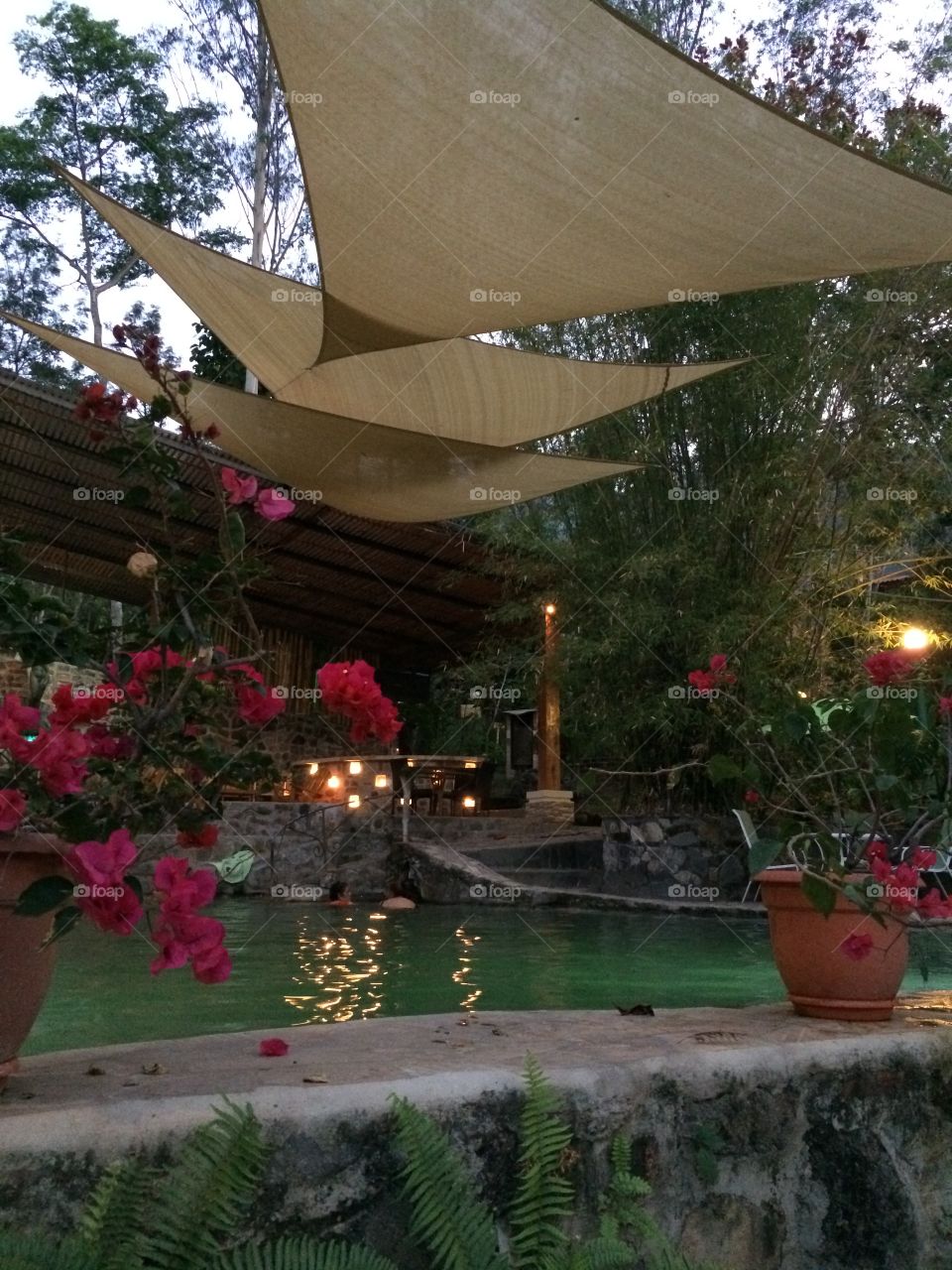 Springtime at the spa. El Salvador natural hot springs